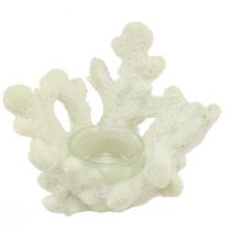 Artikel Theelichthouder koraal decoratief crème maritiem Ø12cm H8cm
