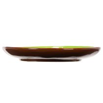 Artikel Ronde keramische borden met kiwi-motief, geschikt voor de eettafel of keuken, 16 cm, 2 stuks