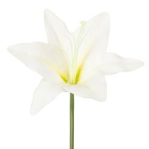 Artikel Kunstmatige witte tijgerlelies voor vazen en bloemstukken, bosje van 6 bloemen (29 cm).