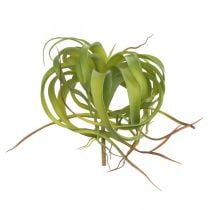 Artikel Tillandsia kunstplant om op te plakken lichtgroene kunstplant 30cm