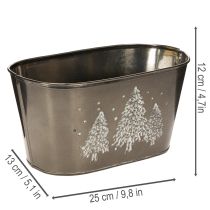 Artikel Ovale plantenbak met reliëf van een sparrenboom, 25 cm