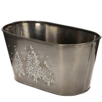 Artikel Ovale plantenbak met reliëf van een sparrenboom, 25 cm