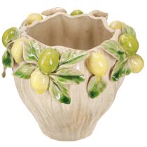 Artikel Decoratieve keramische bloempot – citroenpatroon voor zuidelijke flair Ø19,5cm