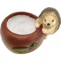 Artikel Plantenbak, appel met egel, herfstdecoratie, cachepot, keramiek Ø16cm H22cm B33cm