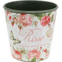Artikel Plantenbak, emmer om te planten, plantenbak met roos H13cm Ø13,5cm