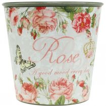 Artikel Plantenbak, emmer om te planten, plantenbak met roos H13cm Ø13,5cm