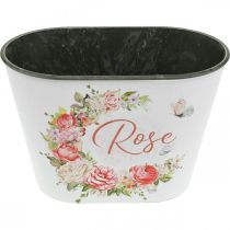 Artikel Plantenbak, decoratieve potrozen, bloemenschaal L19cm H12.5cm