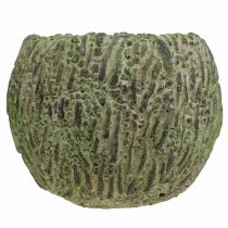 Artikel Plantenbak beton antiek look groen, bruin plantenbak Ø13cm