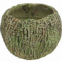 Artikel Plantenbak beton antiek look groen, bruine plantenpot rond Ø15.5cm