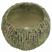 Artikel Betonnen plantenbak, antieklook, groen en bruin, ronde plantenpot, Ø15,5cm
