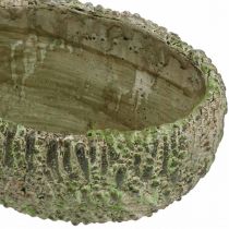 Artikel Plantenbak beton ovaal antiek look groen, bruin 24×14×13cm