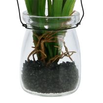 Artikel Druivenhyacint kunstroze in glas 16cm