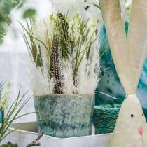 Artikel Druivenhyacinten in bos wit 30cm 15 st