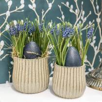 Artikel Druifjes 28cm - 30cm Blauw 15 stuks