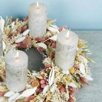 Gedroogde Bloem Lagurus Lampreinigingsgras Gebleekt 100g