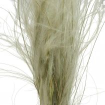 Droogbloemen deco verengras droog gras natuur 50g