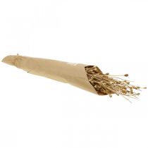 Artikel Gedroogde bloemen maanzaad capsules natuur gedroogd wild gedroogd decoratie bos 100g