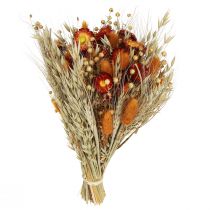Artikel Droogbloemen veldbloemen boeket strobloemen oranje L30cm