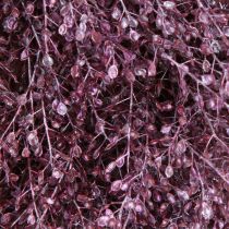 Artikel Decoratieve krans, gedroogde bloemen, metallic paars Lepidium, wandkrans, Ø33cm, woonaccessoire