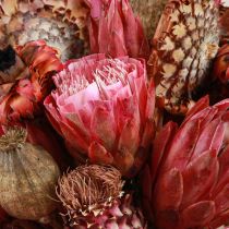 Artikel Droogbloemenmix roze protea artisjok klaproos 38cm 580g