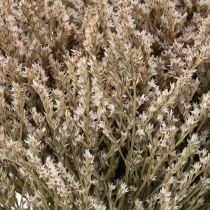 Artikel Gedroogde lavendel, bosje, Statice, natuur, 1 kg