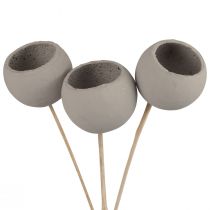 Artikel Droogbloemen decoratieve stolp op steel grijs 37cm 3 st
