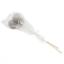 Artikel Droogbloemen decoratieve stolp op steel grijs 37cm 3 st