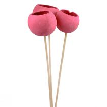 Artikel Droogbloemen decoratieve stolpen op steel roze 42cm 3 st