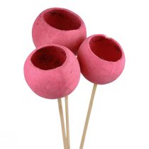 Artikel Droogbloemen decoratieve stolpen op steel roze 42cm 3 st