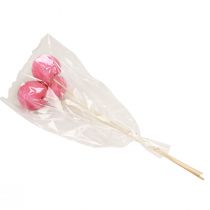 Artikel Droogbloemen decoratieve stolpen op steel roze 42cm 3 st