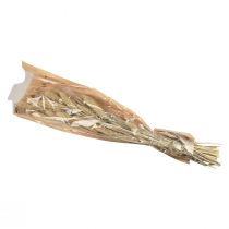 Artikel Gedroogde bloemen, gierstdecoratie, Setaria (vossengierst), 60g