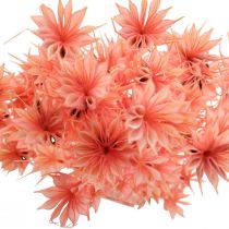 Artikel Droogbloemen zwarte komijn Nigella gedroogd oud roze 100g