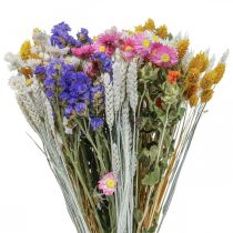 Boeket droogbloemen lamsoor Phalaris korrel 55cm