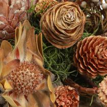 Artikel Droge decoratie exotische protea kegels Bellgum L24–48cm 580g