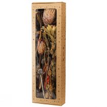 Artikel Gedroogde exotische Protea-kegels Bellgum 24–48 cm 580 g - Kunstbloemdecoratie Zuid-Afrika