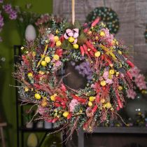 Artikel Droog gras lang roze veergras decoratief Miscanthus 75cm 10 st