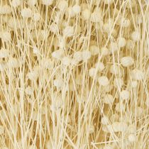 Artikel Gedroogd grasvlas gedroogd natuurlijk gebleekt 50-55cm 180g