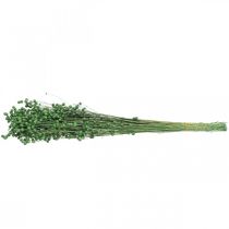 Artikel Gedroogd vlasgras, groen, 50-55 cm, decoratief doe-het-zelf
