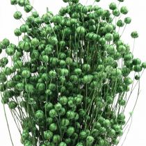 Artikel Gedroogd Gras Gedroogd Vlas Groen H50–55cm 80g