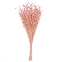 Artikel Gedroogd vlasgras decoratie lichtroze 50-55cm 80g tafeldecoratie