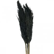 Artikel Drooggras zegge gedroogd zwart siergras 70cm 10 stuks