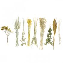 Artikel Gedroogde bloemen DIY Toolkit Geel voor creatieve boeketten en decoratieve kransen 60cm – Natuurlijk product