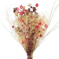 Artikel Droogboeket knoopkruid aardbeidistel rood gebleekt 150g