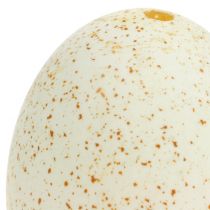 Artikel Kalkoeneieren, natuurlijke paasdecoratie, echte vogeleieren, 6,5 cm, 10 stuks