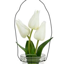 Tulp wit in een glas H21cm 1p
