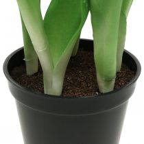 Artikel Tulp roze, groen in pot Kunstpotplant decoratieve tulp H23cm