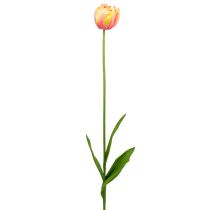 Tulpen roze-geel 86cm 3st
