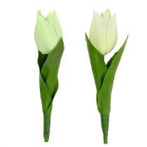 Lentedecoratie, kunsttulpen, zijden bloemen, decoratieve tulpen groen / creme 12st