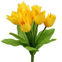Tulpenstruik geel H30cm