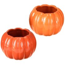 Artikel Plantenbak keramiek pompoen oranje assorti Ø14cm H10cm 2 st.